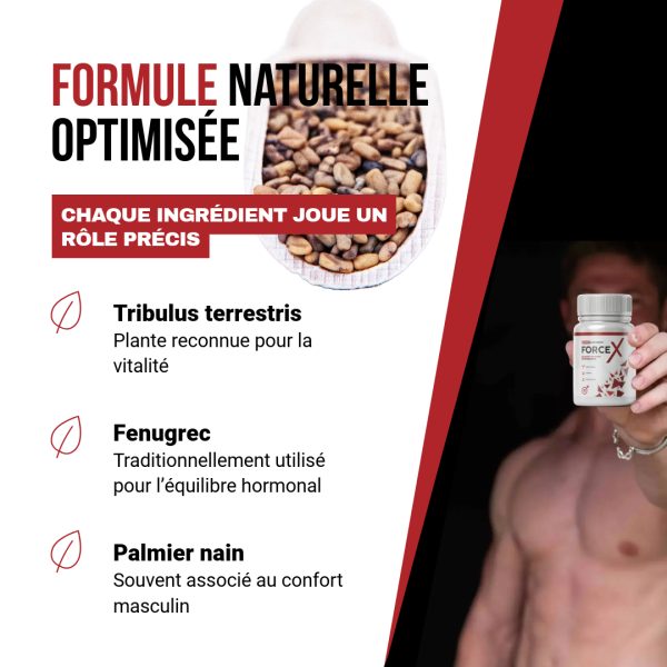 Force X Capsules – Image 6