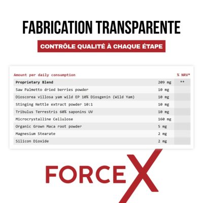 Force X-6-FR - Card 6